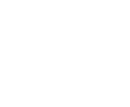 Evolution games at Pocket Play Casino